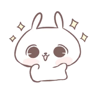 🐼