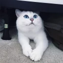 🙂