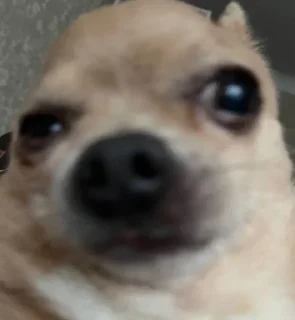 👁