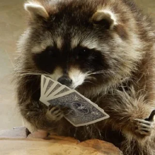 🃏