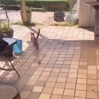😨