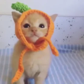 @yaziktembot <--- стикеры тут