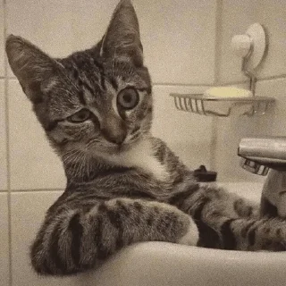 😏