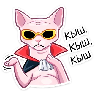 😎