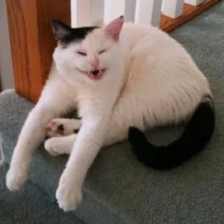 😆