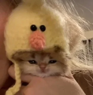 🦆