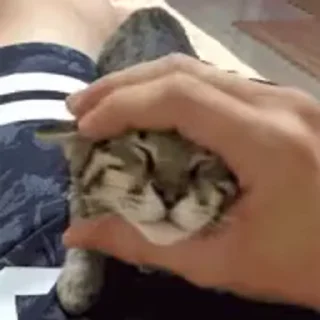 💋