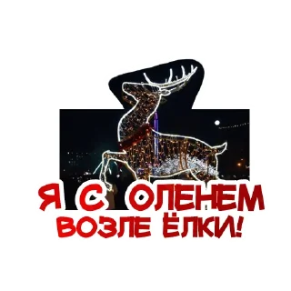 🦌