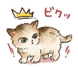🐱