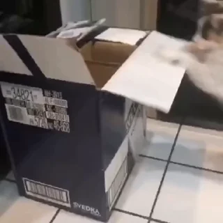 📦