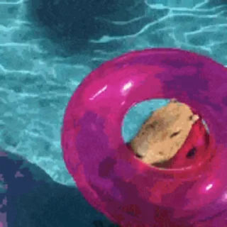 🏊‍♂️