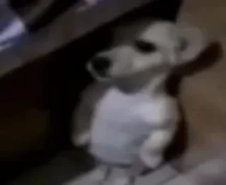 😶
