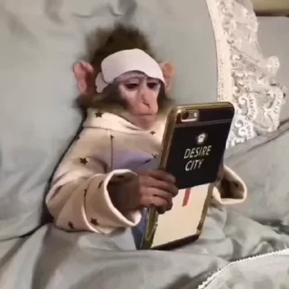 🦧