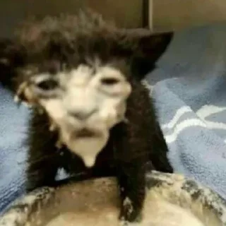 😕
