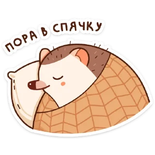 😴