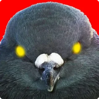 😡