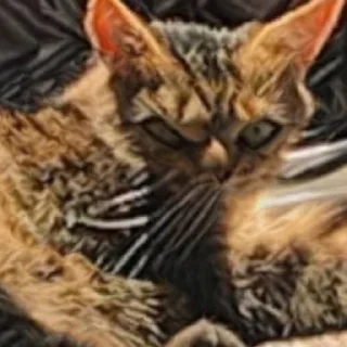 😡
