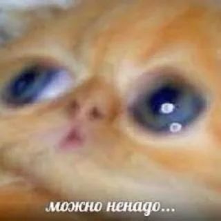 🥺