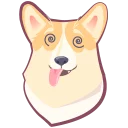 🐶
