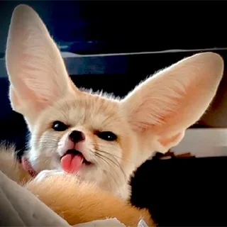 😝