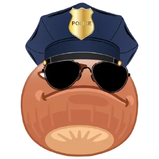 👮‍♂️