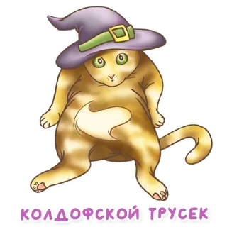🧙‍♂️