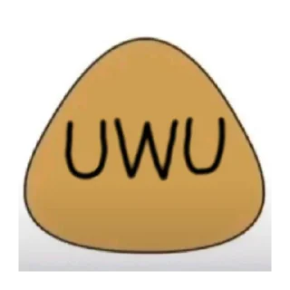 ✨