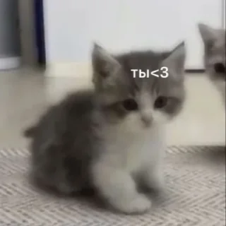 😏