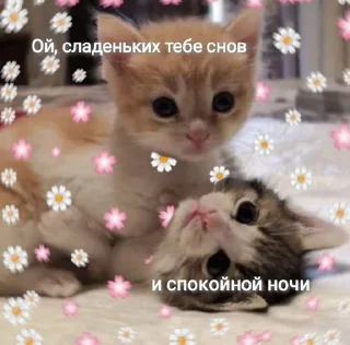 😴