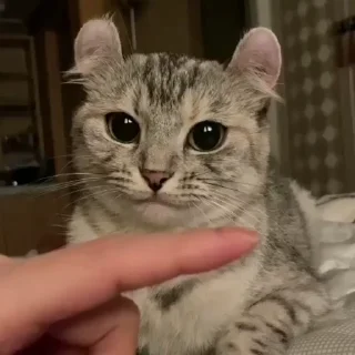 😡