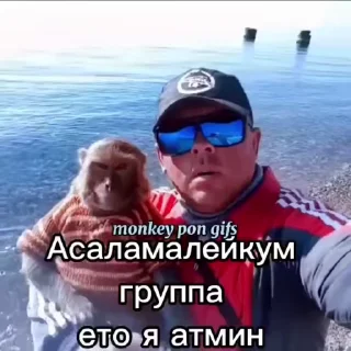 🌟