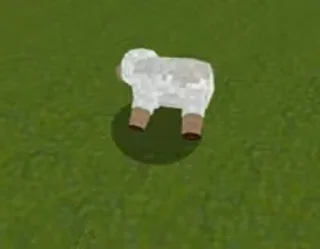 🐑