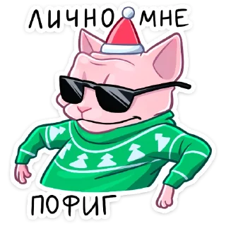 😎