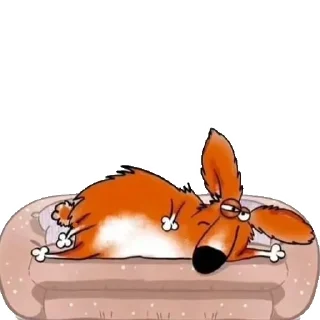 🛌