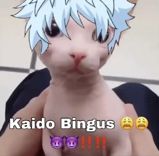 🤬