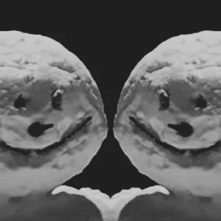 👥