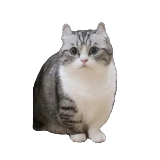 🫥