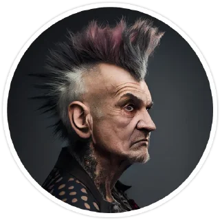 Old Punk