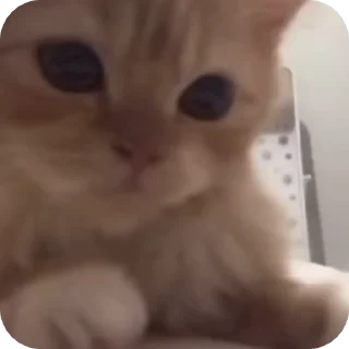 ☺️