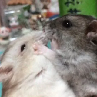 😠