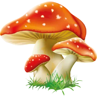 🍄