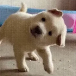 🥴