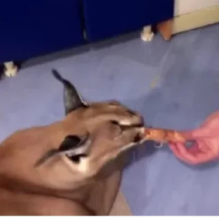 🤤