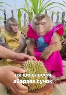 🌟