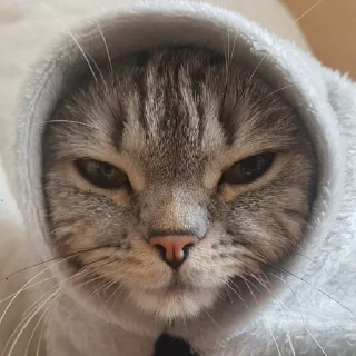 😑