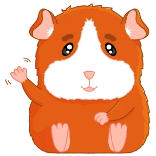 👋