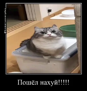 😡