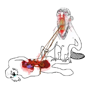 🦫