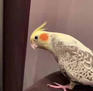 😊