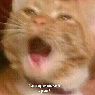 😱
